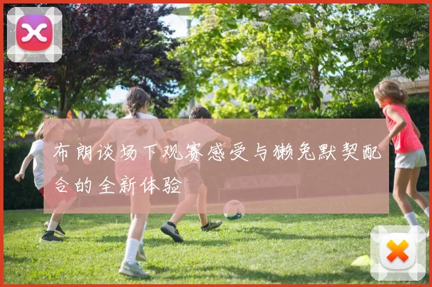 布朗谈场下观赛感受与獭兔默契配合的全新体验