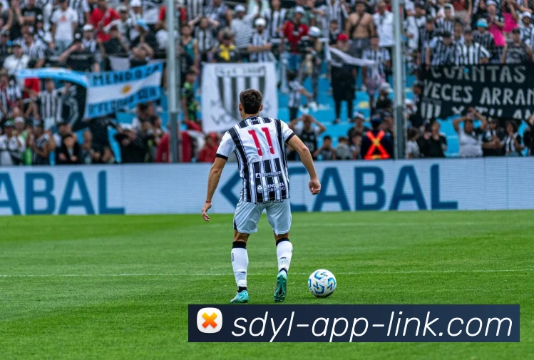 神殿娱乐app平台生态图